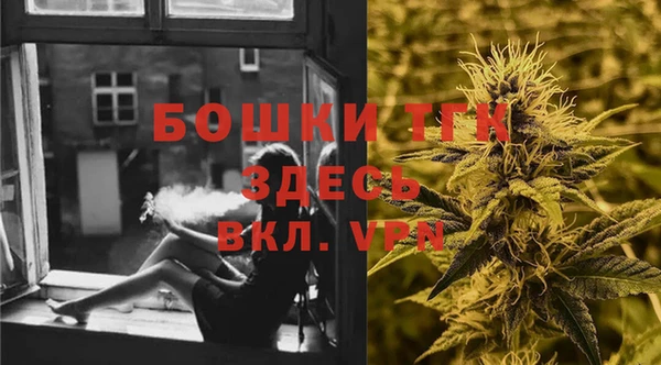 бошки Протвино