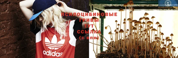прущая мука Вязьма